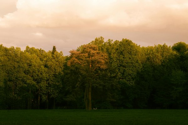 Proven tactics for uk optometrists to tackle the surge of digital eye strain in young adults